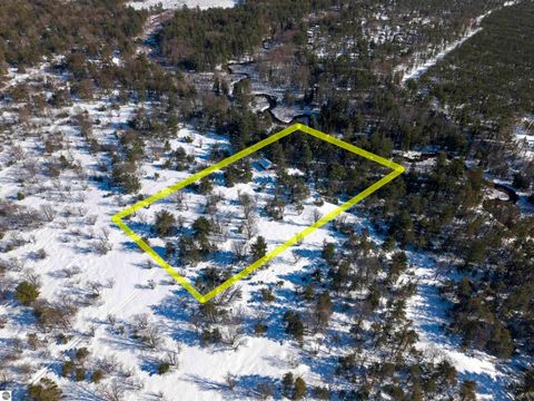 Tiny photo for 9607 Caddis Lane, Fife Lake, MI 49633 (MLS # 1943300)