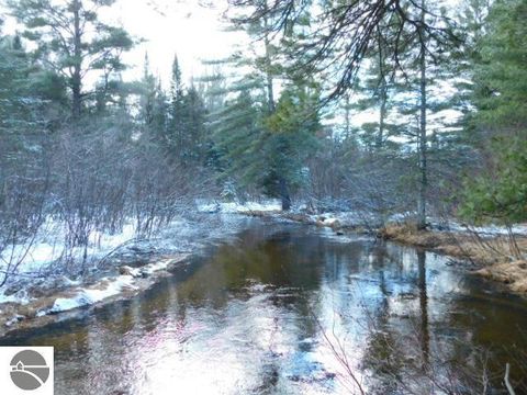 Tiny photo for 9607 Caddis Lane, Fife Lake, MI 49633 (MLS # 1943300)