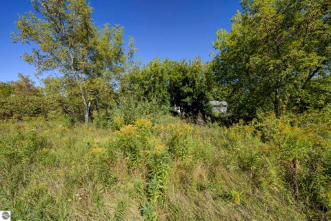 Tiny photo for 10624 E Ora Lee Lane #+ Lot 11, Suttons Bay, MI 49682 (MLS # 1951052)