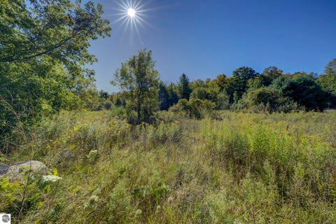 Tiny photo for 10624 E Ora Lee Lane #+ Lot 11, Suttons Bay, MI 49682 (MLS # 1951052)