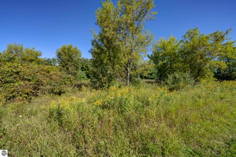 Tiny photo for 10624 E Ora Lee Lane #+ Lot 11, Suttons Bay, MI 49682 (MLS # 1951052)