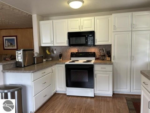 Tiny photo for 2058 Parkside ST, East Tawas, MI 48730 (MLS # 1950742)