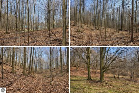 Tiny photo for 2258 Harris Road, Beulah, MI 49617 (MLS # 1943847)