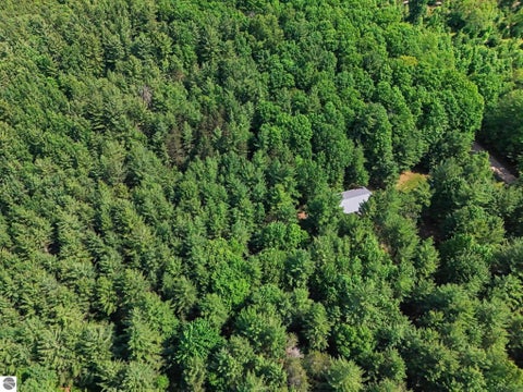 Tiny photo for 4284 SW Grand Kal Road, Fife Lake, MI 49633 (MLS # 1947573)