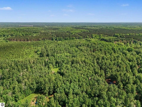 Tiny photo for 4284 SW Grand Kal Road, Fife Lake, MI 49633 (MLS # 1947573)