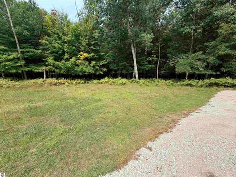 Tiny photo for 13134 Hopkins Forest Drive, Bear Lake, MI 49614 (MLS # 1949323)