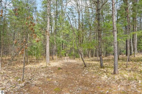 Tiny photo for 12635 SE Piper Circle, Kalkaska, MI 49646 (MLS # 1945465)