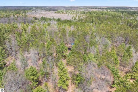 Tiny photo for 12635 SE Piper Circle, Kalkaska, MI 49646 (MLS # 1945465)