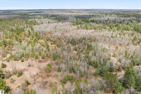 Tiny photo for 12635 SE Piper Circle, Kalkaska, MI 49646 (MLS # 1945465)