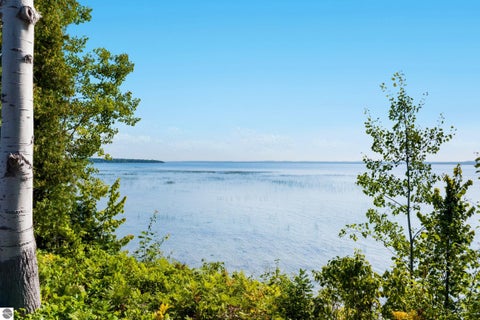 Tiny photo for 4800 S West Bay Shore Drive, Suttons Bay, MI 49682 (MLS # 1949644)