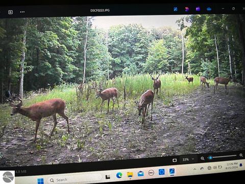 Tiny photo for 8380 Rushton Road, Ellsworth, MI 49729 (MLS # 1944187)