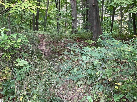 Tiny photo for 4734 Barney Road, Traverse City, MI 49684 (MLS # 1950817)