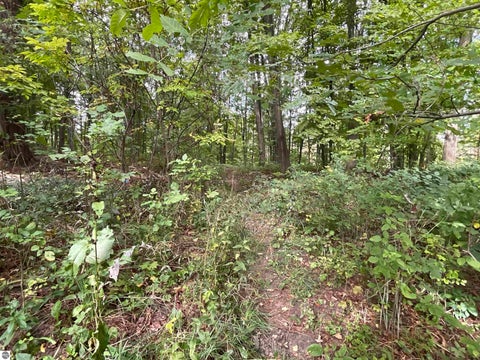Tiny photo for 4734 Barney Road, Traverse City, MI 49684 (MLS # 1950817)