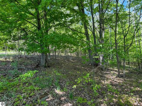 Tiny photo for 2155 N Belanger Creek Drive, Suttons Bay, MI 49682 (MLS # 1942834)