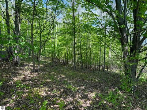 Tiny photo for 2155 N Belanger Creek Drive, Suttons Bay, MI 49682 (MLS # 1942834)