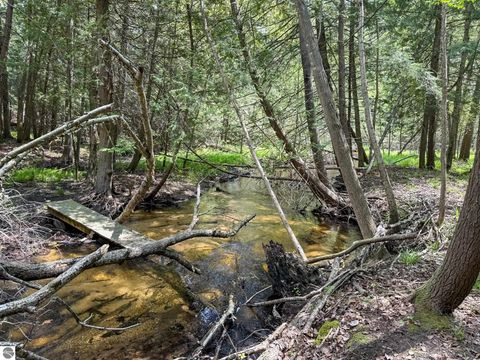 Tiny photo for 2155 N Belanger Creek Drive, Suttons Bay, MI 49682 (MLS # 1942834)