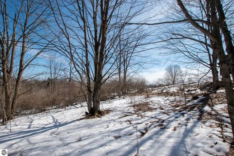 Tiny photo for 2155 N Belanger Creek Drive, Suttons Bay, MI 49682 (MLS # 1942834)