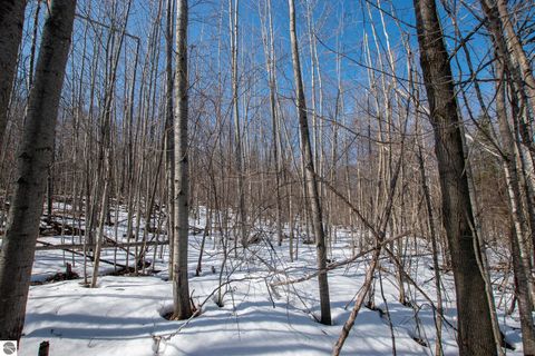 Tiny photo for 2155 N Belanger Creek Drive, Suttons Bay, MI 49682 (MLS # 1942834)