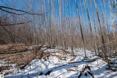 Tiny photo for 2155 N Belanger Creek Drive, Suttons Bay, MI 49682 (MLS # 1942834)