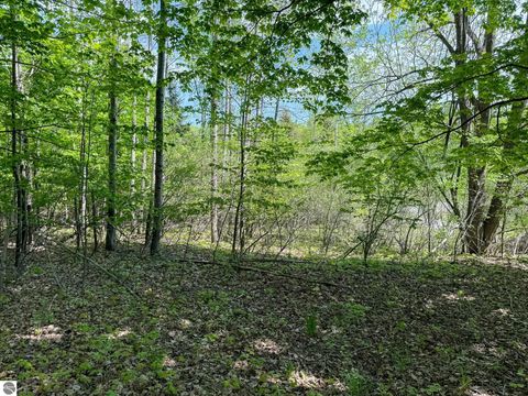 Tiny photo for 2155 N Belanger Creek Drive, Suttons Bay, MI 49682 (MLS # 1942834)