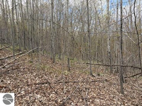 Tiny photo for 2155 N Belanger Creek Drive, Suttons Bay, MI 49682 (MLS # 1942834)