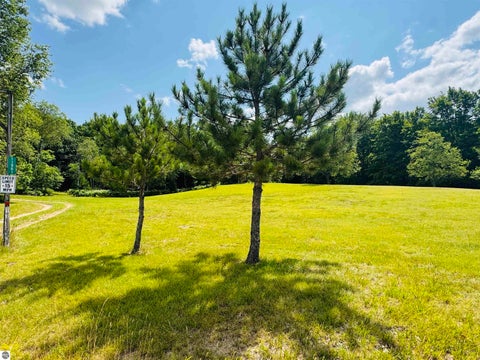 Tiny photo for 11961 Waterhole Creek Road, Fife Lake, MI 49633 (MLS # 1948479)