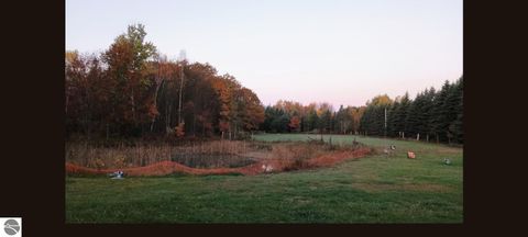 Tiny photo for 3665 Mill Station Road, Hale, MI 48739 (MLS # 1942247)