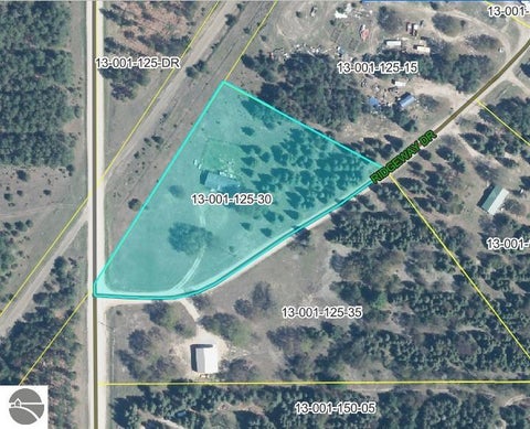 Tiny photo for 17538 Ridgeway Drive, Thompsonville, MI 49683 (MLS # 1951151)