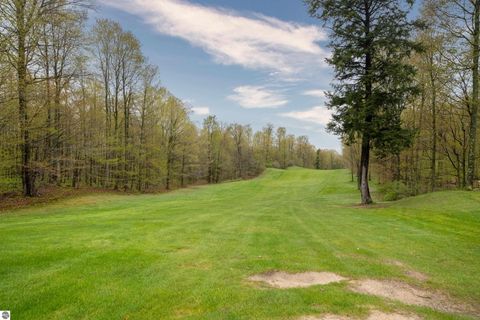 Tiny photo for 3055 White Tail Drive, Bellaire, MI 49615 (MLS # 1945265)