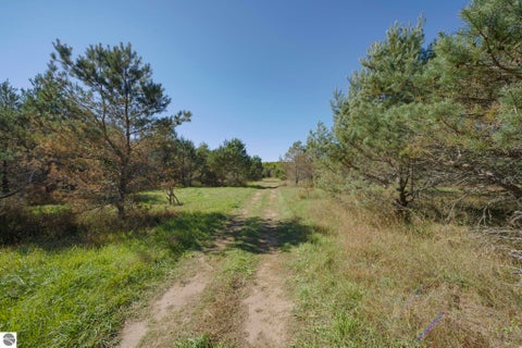 Tiny photo for 493 NE County Road 571, Kalkaska, MI 49646 (MLS # 1951185)