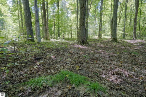 Tiny photo for 493 NE County Road 571, Kalkaska, MI 49646 (MLS # 1951185)