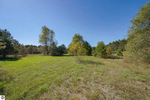 Tiny photo for 493 NE County Road 571, Kalkaska, MI 49646 (MLS # 1951185)