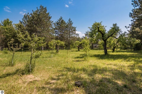 Tiny photo for 493 NE County Road 571, Kalkaska, MI 49646 (MLS # 1951185)