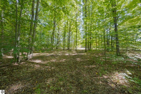 Tiny photo for 493 NE County Road 571, Kalkaska, MI 49646 (MLS # 1951185)