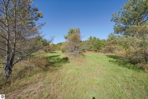 Tiny photo for 493 NE County Road 571, Kalkaska, MI 49646 (MLS # 1951185)