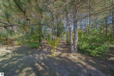 Tiny photo for 493 NE County Road 571, Kalkaska, MI 49646 (MLS # 1951185)