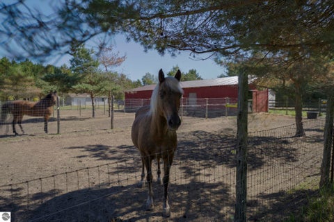 Tiny photo for 493 NE County Road 571, Kalkaska, MI 49646 (MLS # 1951185)