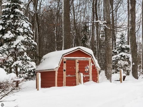 Tiny photo for 4972 E Shore Drive, Kalkaska, MI 49646 (MLS # 1941503)