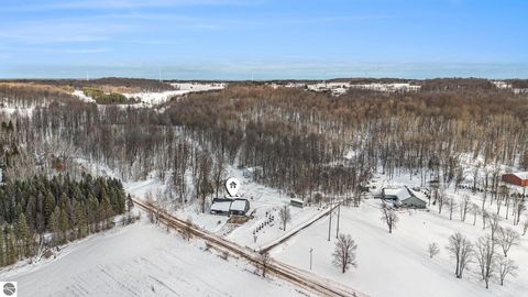 Tiny photo for 23736 110th Avenue, Tustin, MI 49688 (MLS # 1941297)