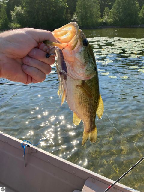 Tiny photo for 3718 Peninsular Shores, Grawn, MI 49637 (MLS # 1943197)