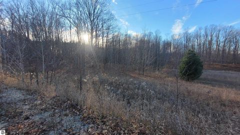 Tiny photo for 1091 Plum Valley Road NW, Alden, MI 49612 (MLS # 1941794)