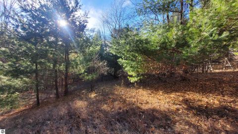 Tiny photo for 1091 Plum Valley Road NW, Alden, MI 49612 (MLS # 1941794)