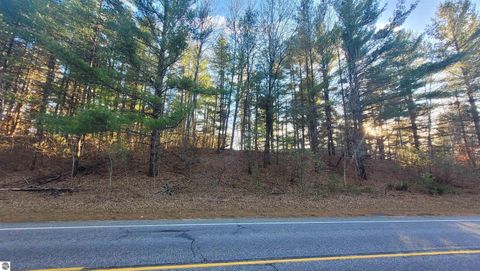 Tiny photo for 1091 Plum Valley Road NW, Alden, MI 49612 (MLS # 1941794)