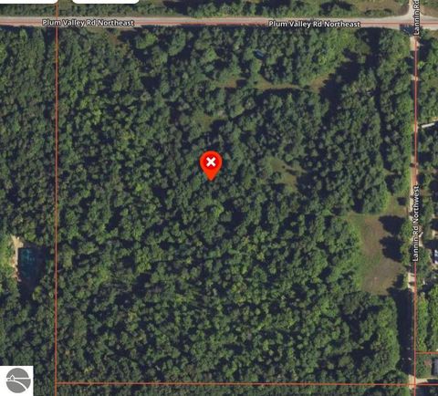 Tiny photo for 1091 Plum Valley Road NW, Alden, MI 49612 (MLS # 1941794)