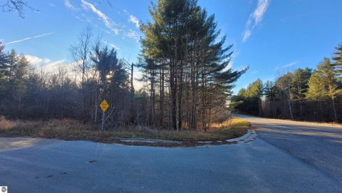 Tiny photo for 1091 Plum Valley Road NW, Alden, MI 49612 (MLS # 1941794)