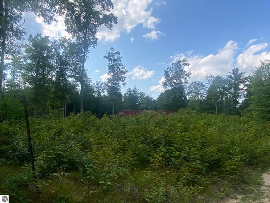 W EMMAUS CT, BALDWIN, MI 49304 - Image 7622cfbef9dc9f0d56a12cc1ddfa02fa/3725940214