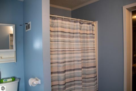 Tiny photo for 5557 E Pleasant Valley Road, Shepherd, MI 48883 (MLS # 1944262)