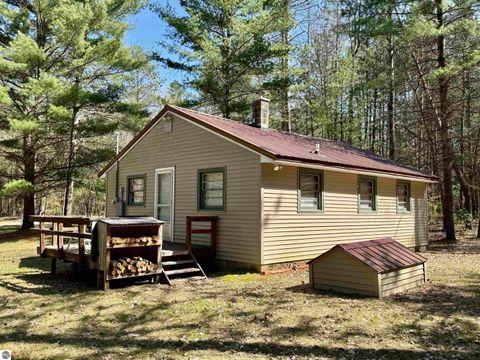 Tiny photo for 6191 N Pine River Road, Luther, MI 49656 (MLS # 1944164)