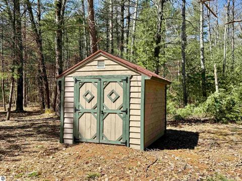 Tiny photo for 6191 N Pine River Road, Luther, MI 49656 (MLS # 1944164)