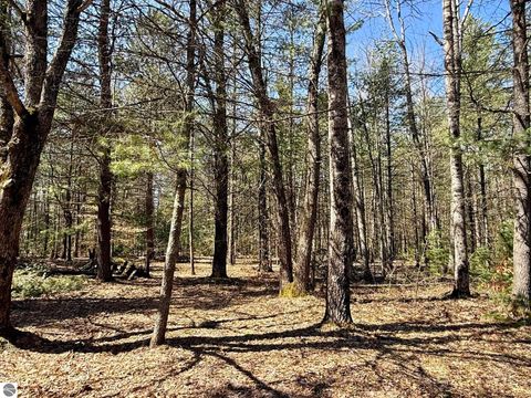 Tiny photo for 6191 N Pine River Road, Luther, MI 49656 (MLS # 1944164)